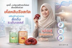เห็ดหลินจือแดง ช่วยอะไรบ้าง? เหมาะกับใคร และใครไม่ควรกิน