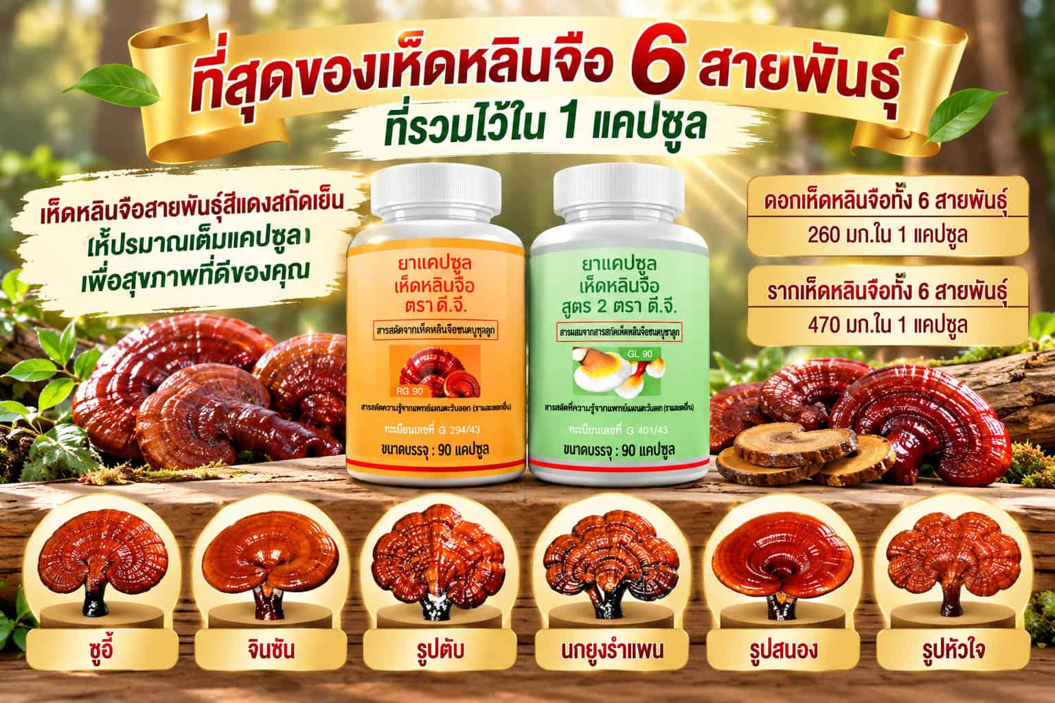 ผลิตภัณฑ์เห็ดหลินจือแด๊กซิน